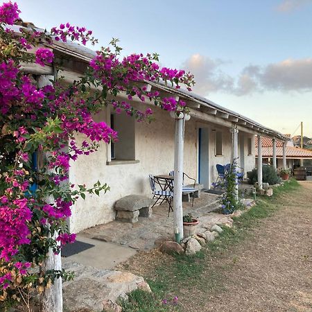 סנטה טרזה גאיורה Agriturismo La Tana Di Lu Maccioni מראה חיצוני תמונה