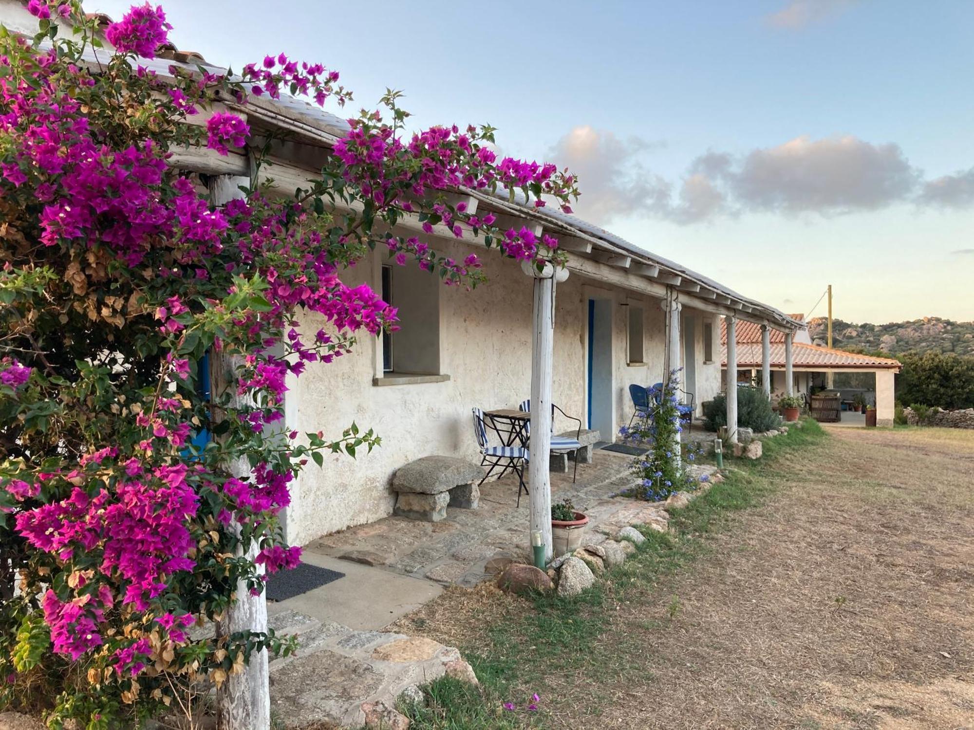 סנטה טרזה גאיורה Agriturismo La Tana Di Lu Maccioni מראה חיצוני תמונה