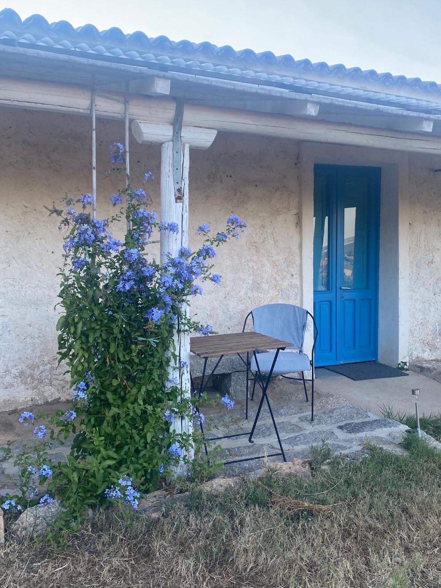 סנטה טרזה גאיורה Agriturismo La Tana Di Lu Maccioni מראה חיצוני תמונה