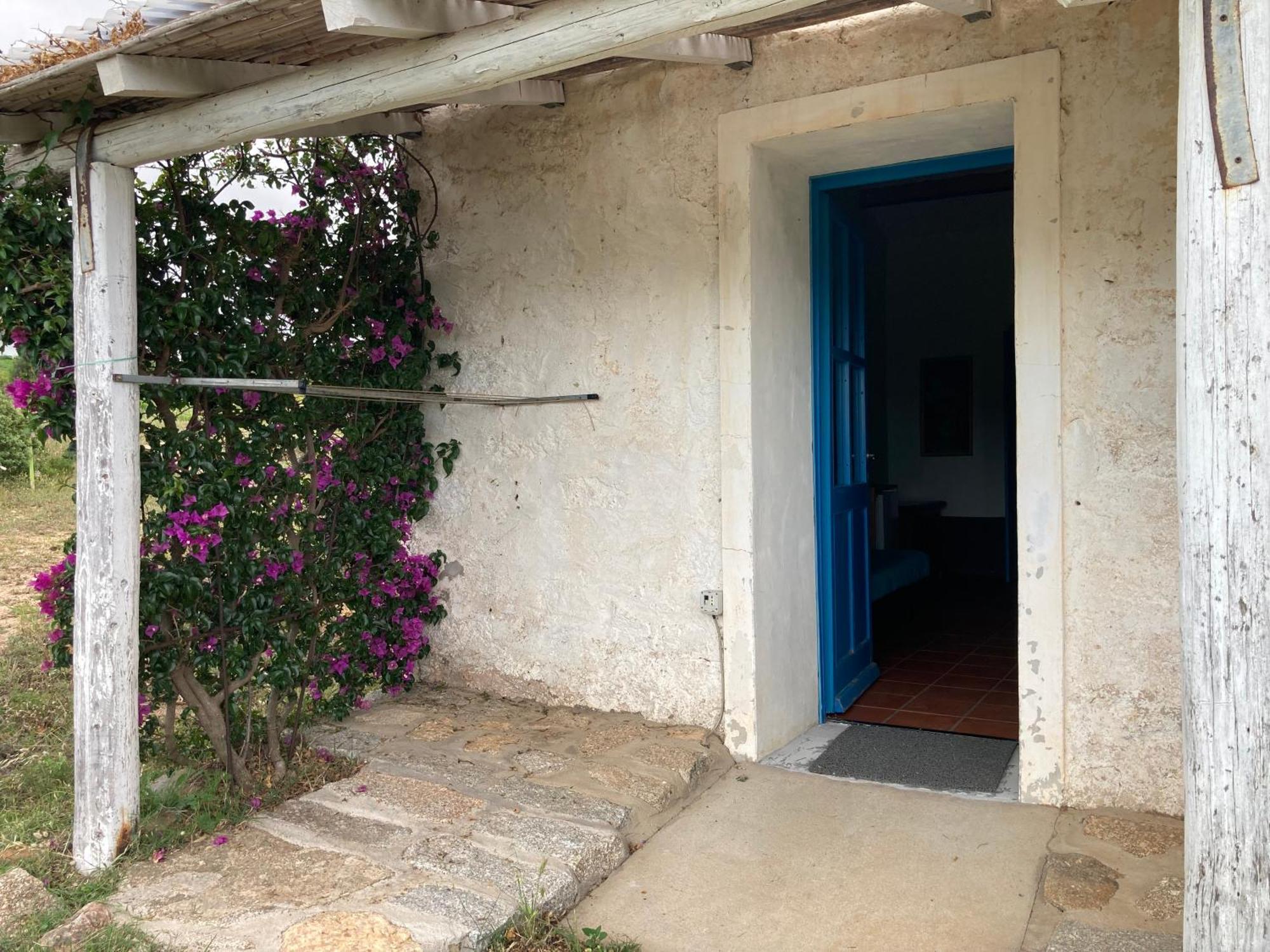 סנטה טרזה גאיורה Agriturismo La Tana Di Lu Maccioni מראה חיצוני תמונה