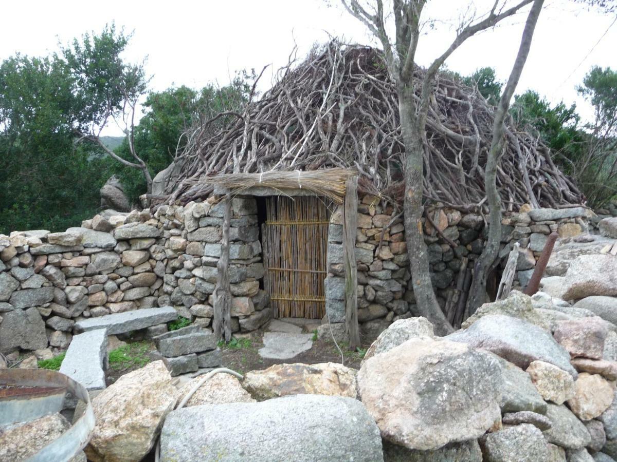 סנטה טרזה גאיורה Agriturismo La Tana Di Lu Maccioni מראה חיצוני תמונה