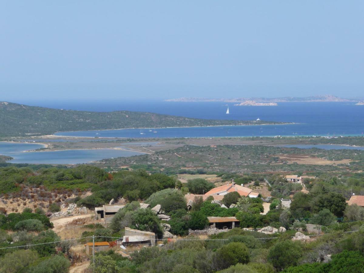 סנטה טרזה גאיורה Agriturismo La Tana Di Lu Maccioni מראה חיצוני תמונה