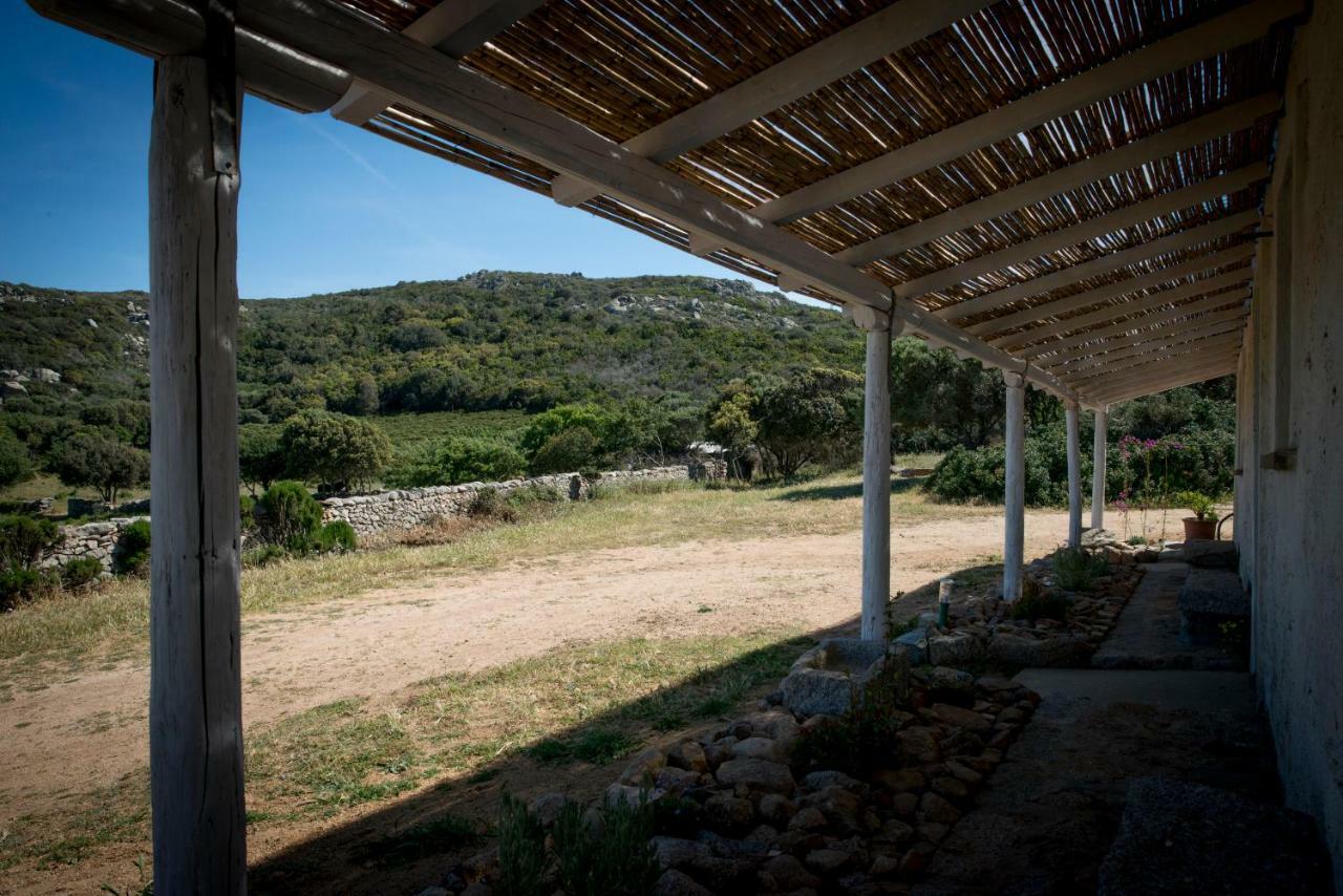 סנטה טרזה גאיורה Agriturismo La Tana Di Lu Maccioni מראה חיצוני תמונה