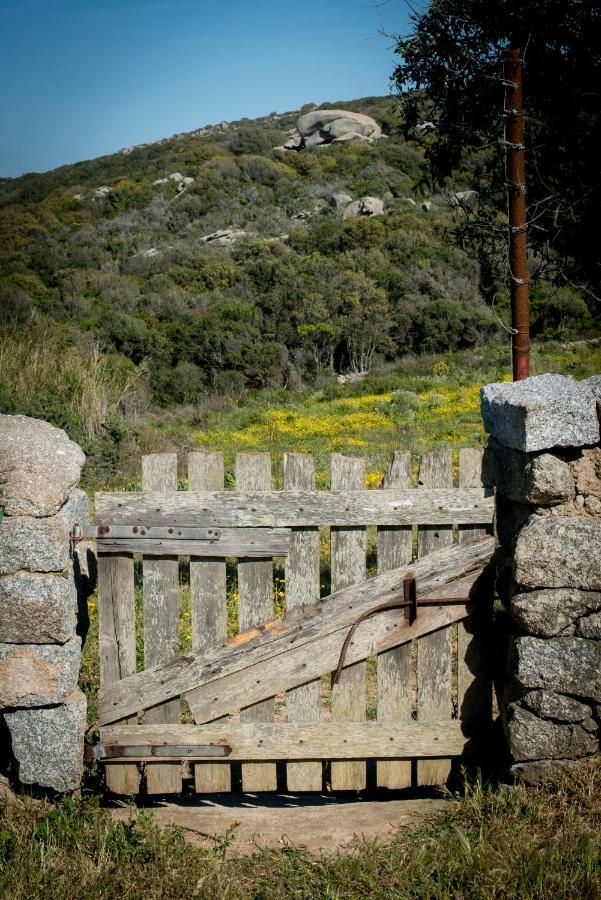 סנטה טרזה גאיורה Agriturismo La Tana Di Lu Maccioni מראה חיצוני תמונה