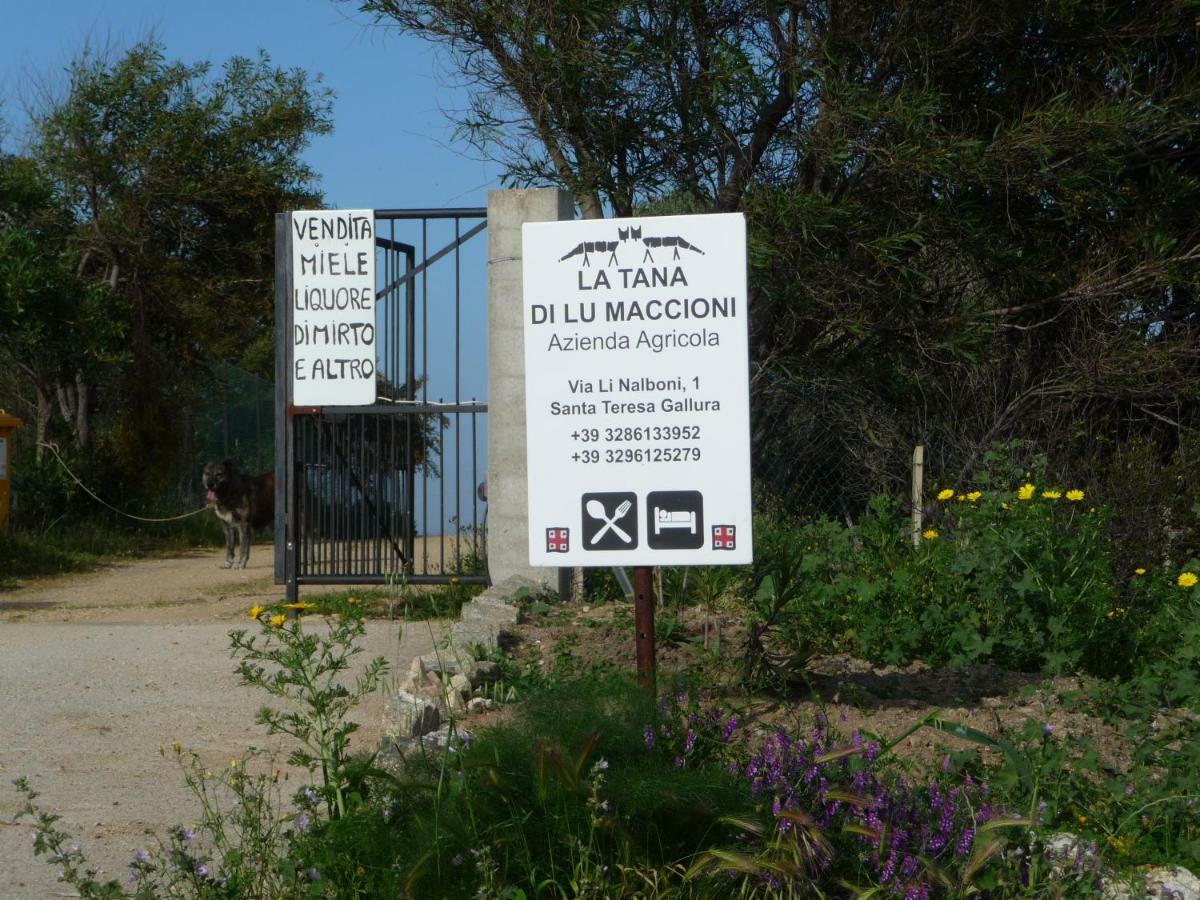 סנטה טרזה גאיורה Agriturismo La Tana Di Lu Maccioni מראה חיצוני תמונה